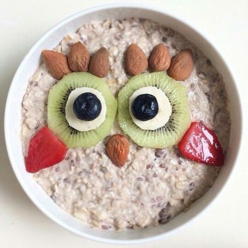 Owl oatmeal